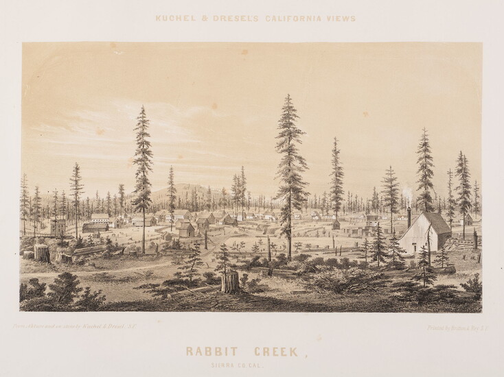 Toned lithograph of the Rabbit Creek settlement among tall Sierra pines